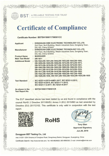 Charger Rohs certificate